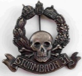 WWI AUSTRIAN MONARCHY STORM TROOPER BADGE