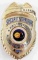 NASA SECURITY OFFICER PROTECTIVE SERVICE  BADGE