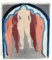 OIL ON CANVAS MODERN ART FEMALE NUDE APHRODITE