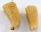 LOT OF 2 WHALE TOOTH RAW READY FOR SCRIMSHAW