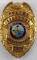 OBSOLETE HIALEAH GARDENS FL POLICE SARGEANT BADGE