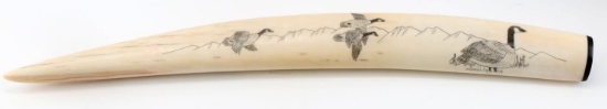 INUIT NATIVE ALASKAN SCRIMSHAW WALRUS TUSK