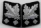 WWII GERMAN 3RD REICH 2 SS GENERAL COLLAR TABS