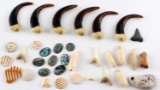 ARTISAN CRAFTSMEN SHELLS CLAWS  AND TEETH LOT