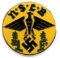 WWII THIRD REICH GERMAN NSLB TEACHERS LEAGUE PIN