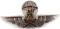 WWII HUNGARIAN PARATROOPER WINGS BRONZE SKULL