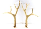 LARGE SET PAIR OF MULE DEER ANTLERS 9 POINTS