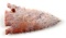 SPECKLED PINK CORAL SERRATED FLORIDA  ARROWHEAD