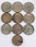 10 SILVER PEACE DOLLAR COIN LOT FROM CIRCULATION