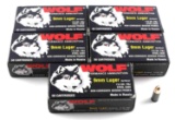 250 ROUNDS OF 9MM LUGER 115 GR WOLF AMMUNITION
