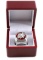 2013 CHICAGO BLACKHAWKS STANLEY CUP REPLICA RING