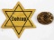 WWII GERMAN THIRD REICH RAD BROACH AND STAR