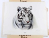 CHARLES FRACE WILDLIFE WHITE TIGER SIGNED PRINT