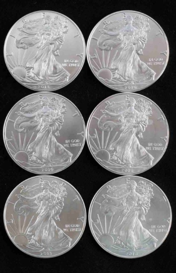 AMERICAN EAGLE SILVER DOLLAR COIN LOT OF 6