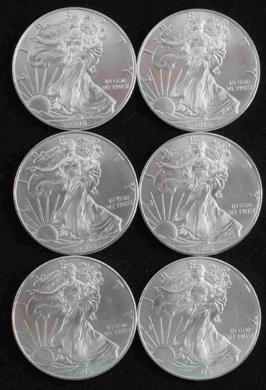 AMERICAN EAGLE SILVER DOLLAR COIN LOT OF 6