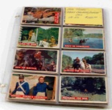 80 1956 DAVY CROCKETT TOPPS TRADING CARDS