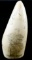 ANTIQUE WHALE TOOTH SCRIMSHAW CSA DRUMMER BOY