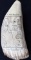 ANTIQUE WHALE TOOTH SCRIMSHAW PAMIEDLUK GREENLAND