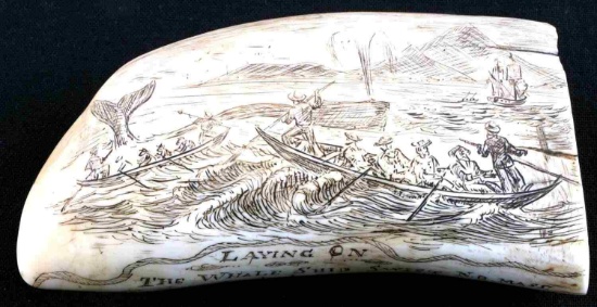 WHALE TOOTH SCRIMSHAW LAYING ON THE WHALESHIP