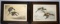 LEON DANCHIN D.1938 SIGNED MALLARD ETCHING PAIR