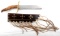 IRONMAN OKC BOWIE KNIFE W STAG HANDLE & SHEATH