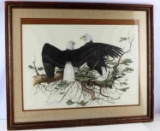 AMERICAN BALD EAGLES NUMBERED & SIGNED LITHOGRAPH