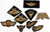 WORLD PARATROOPER BULLION PATCH PARATROOPER WINGS