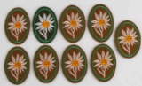 LOT OF 9 WWII GERMAN THIRD REICH EDELWEISS PATCHES