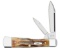 NEW CASE POCKET KNIFE 6.5 BONESTAG GUNSTOCK