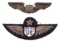 US ARMY AIR CORPS SENIOR PILOT WINGS AND WWII WING