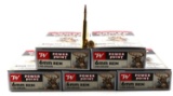 100 ROUNDS WINCHESTER POWER POINT 6 MM REM AMMO