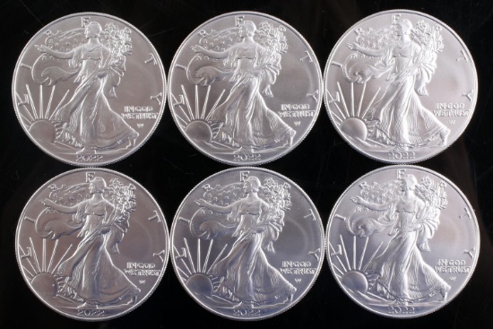 LOT OF 6 AMERICAN EAGLE 1 OZ SILVER COINS