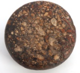 AUTHENTIC 3 5/8 CONGLOMERATE BISCUIT DISCOIDAL