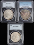 3 MORGAN SILVER DOLLARS PCGS MS 1881-S 1888-O 1900