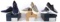 3 NEW IN BOX COLE HAAN MENS SHOES SIZE 2 8.5 & 1 9