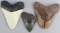 LOT OF 3 LARGE MEGALODON FOSSIL SHARK TEETH