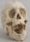HAND CARVED MINIATURE HUMAN SKULL FROM BONE