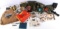 CIVIL WAR WWI WWII VIETNAM MILITARY COLLECTABLES