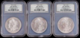 1882 S 1880 O 1879 S UNC DETAILS MORGAN DOLLAR LOT