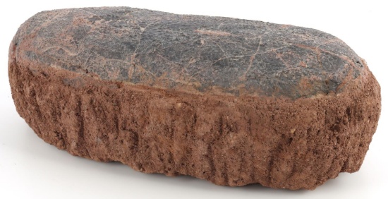 DINOSAUR EGG OVIRAPTOR MOROCCO MATRIX