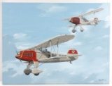 WWII GERMAN THIRD REICH HEINKEL HE-51 PAINTING