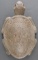 TAINO PRECOLUMBIAN CARVED STONE TURTLE