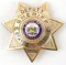 US DEPUTY SHERIFF BADGE FOR STATE OF HAWAII