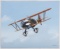 PAINTING OF A CURTISS P-6E HAWK RAY WADDEY