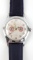 WWII GERMAN THIRD REICH NSDAP WRISTWATCH
