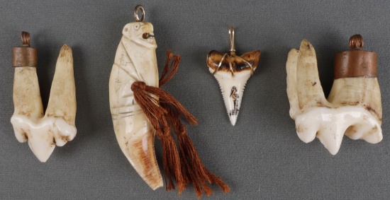 4 SCRIMSHAW BEAR SHARK TOOTH LOT