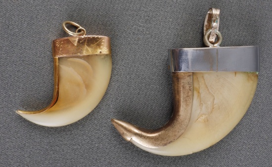 LOT OF 2 GOLD SILVER LION CLAW PENDANTS