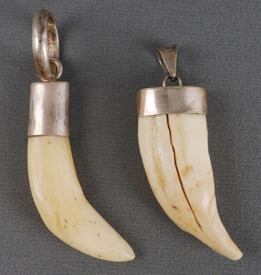 LOT OF 2 BEAR TOOTH SILVER MOUNT PENDANTS