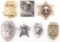 LOT OF 7 OBSOLETE SECURITY BADGES