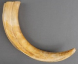 12 INCH ANTIQUE IVORY WARTHOG TUSK